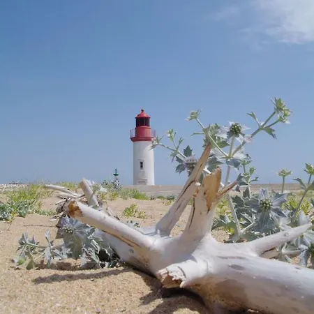 Mes Ptits La Cotinière